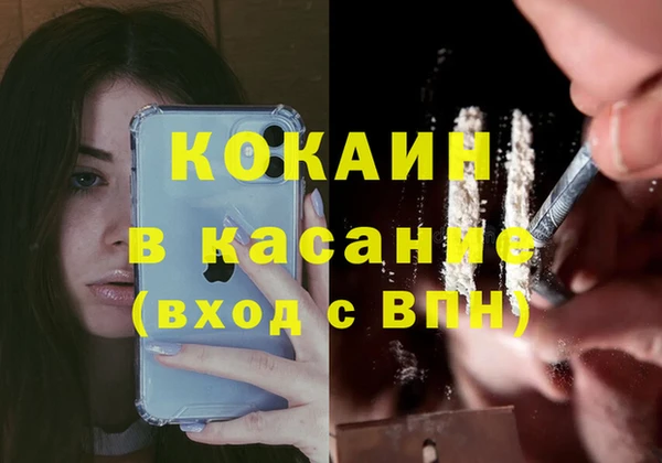 крисы Аркадак