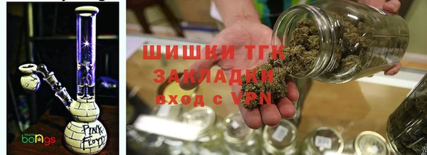 крисы Аркадак