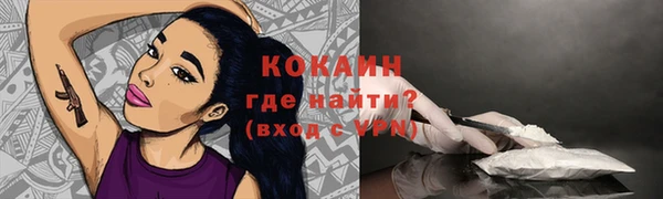 крисы Аркадак