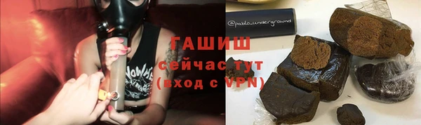 гашик Арсеньев
