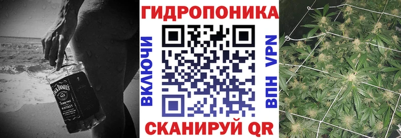что такое наркотик  Покров  сайты даркнета какой сайт  Каннабис Amnesia 